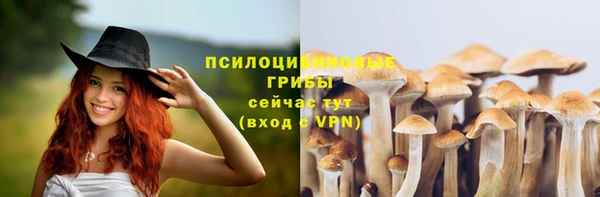дживик Абаза