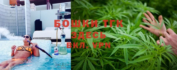 дживик Абаза