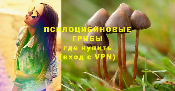 мет Абинск