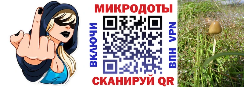 продажа наркотиков  Котельнич  Псилоцибиновые грибы прущие грибы 