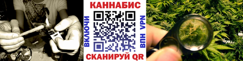 купить наркотик мориарти клад Конопля Ganja Котельнич